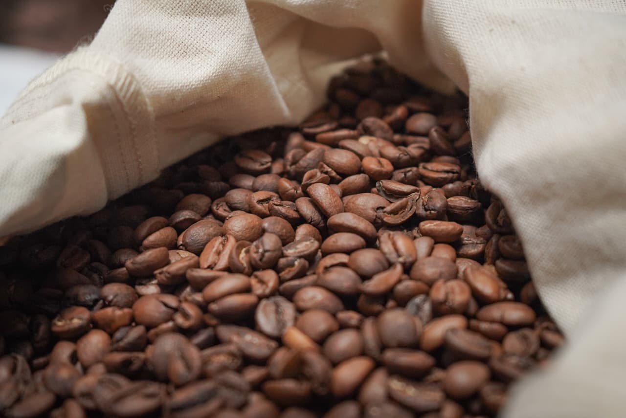 En busca del valor detrás del café michoacano