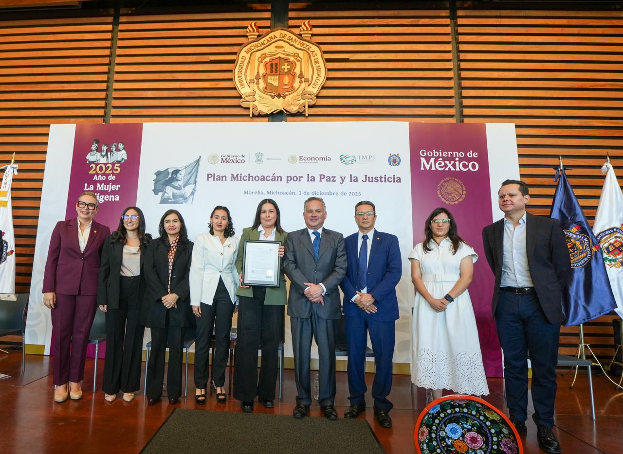 Cifra récord de patentes nicolaitas durante la administración de Yarabí Ávila