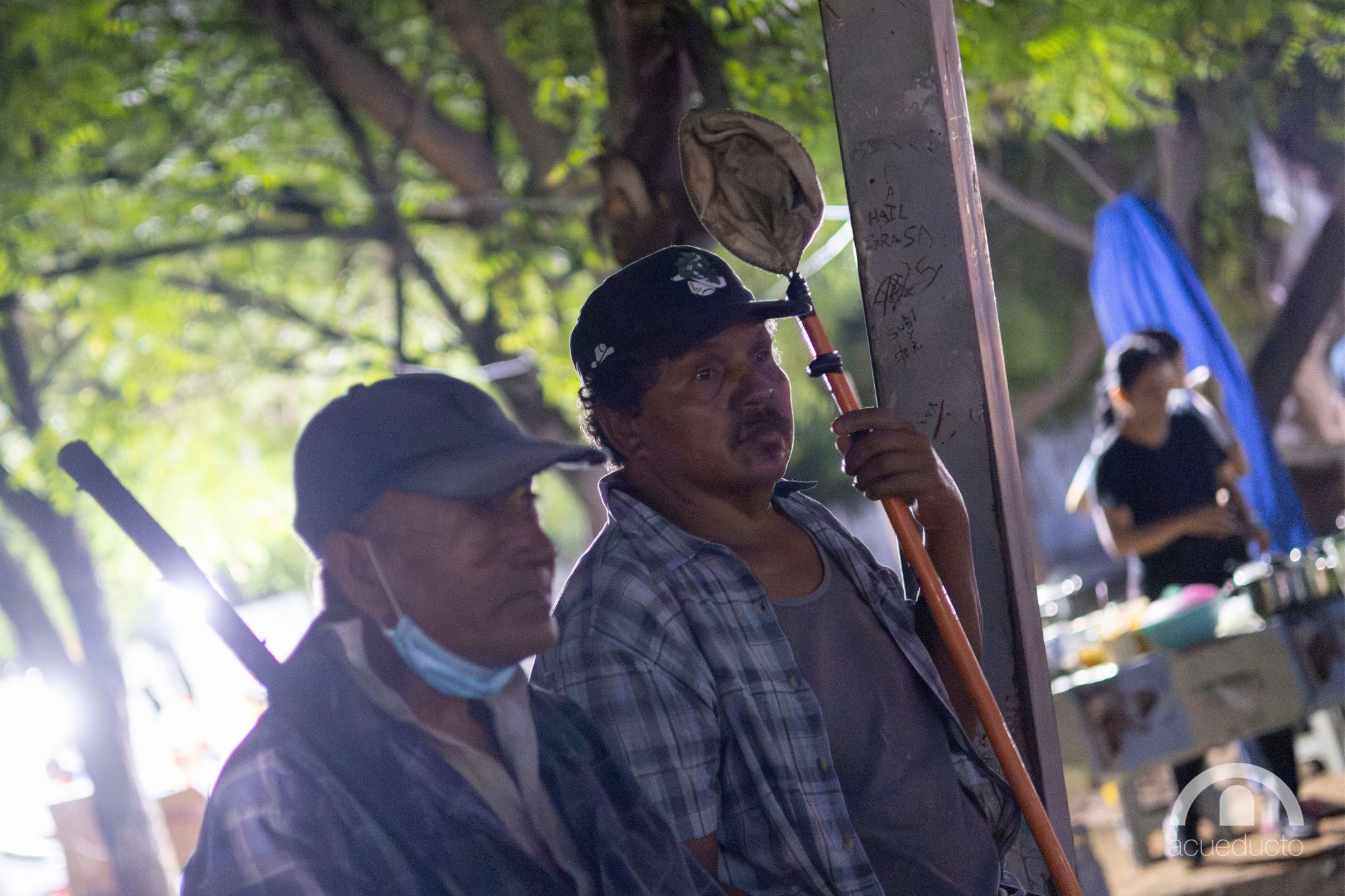 Cortadores de limón trabajan entre minas, miedo y pobreza