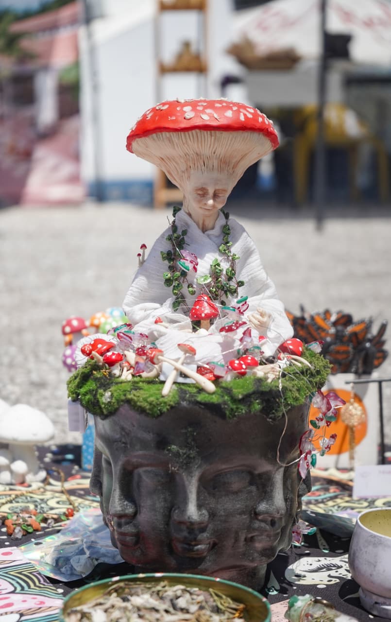 FungiFest convierte a Morelia en la capital de los hongos de Michoacán