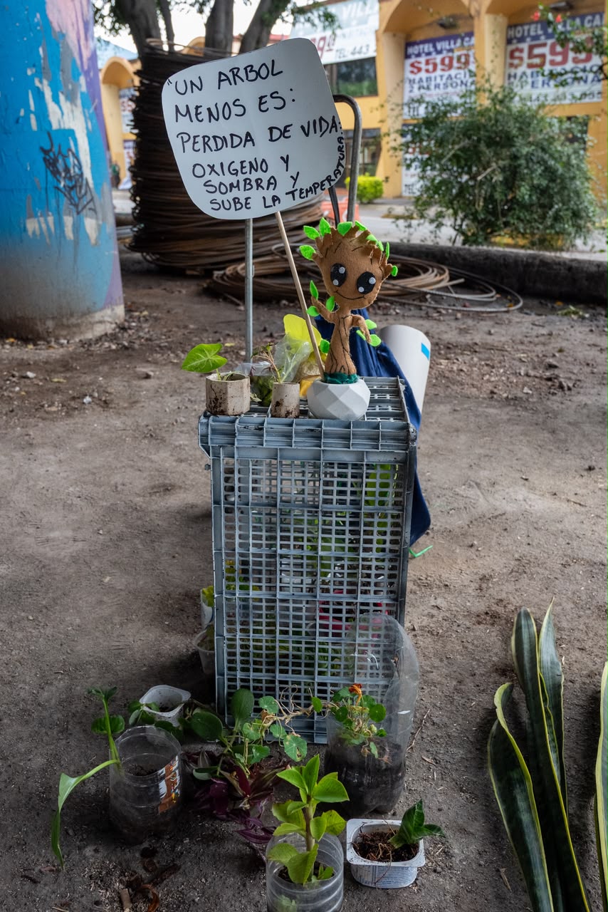 Plantas, esquejes y macetas cambian de manos en Tres Puentes