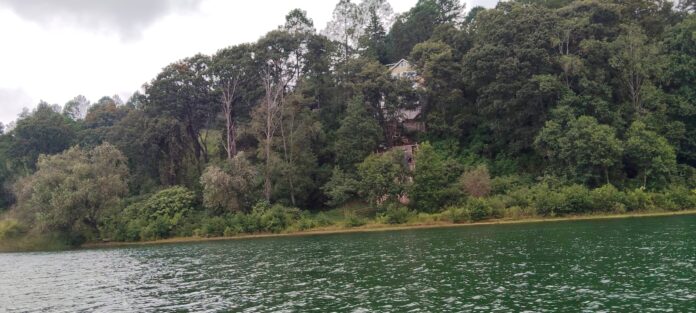 Más de 2 mil hectáreas de bosque deforestadas en Zirahuén