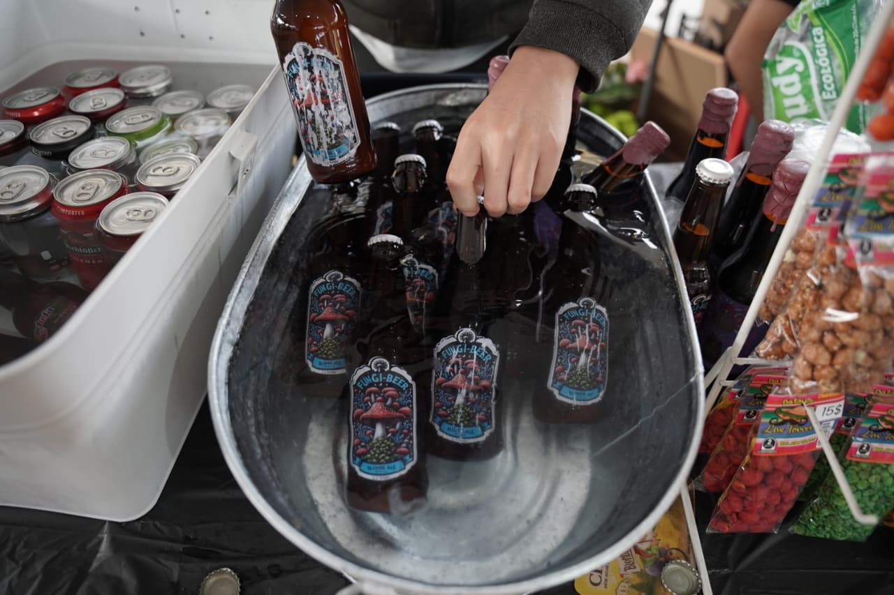 Llega la Fungi Beer a Morelia: la cerveza elaborada con hongo
