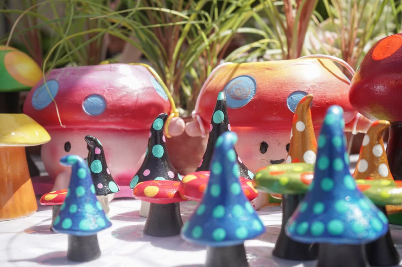 FungiFest convierte a Morelia en la capital de los hongos de Michoacán