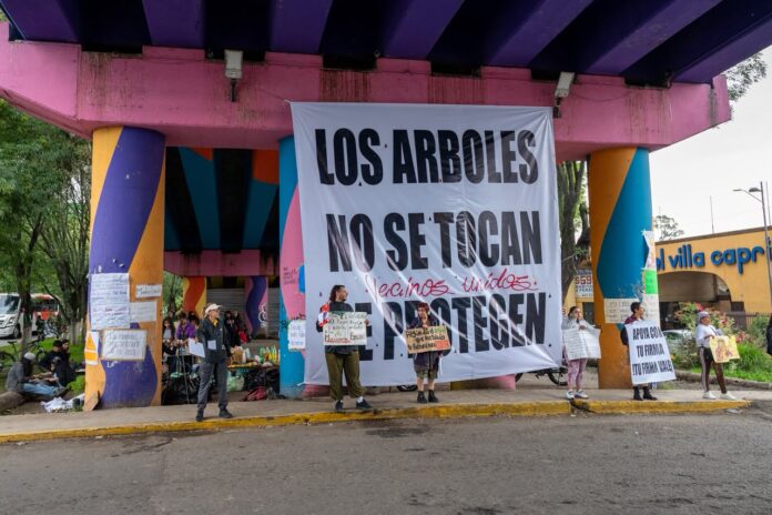 Plantas, esquejes y macetas cambian de manos en Tres Puentes