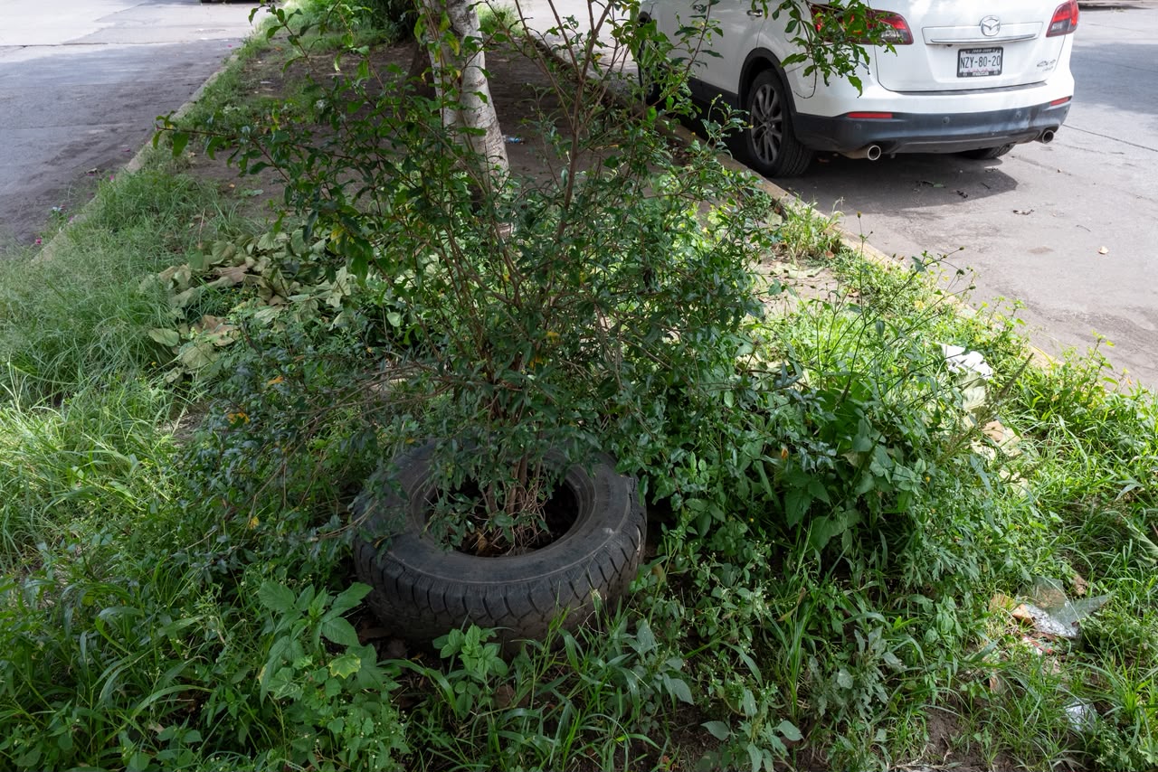Cuando baja el agua, el lodo permanece en la avenida Poliducto