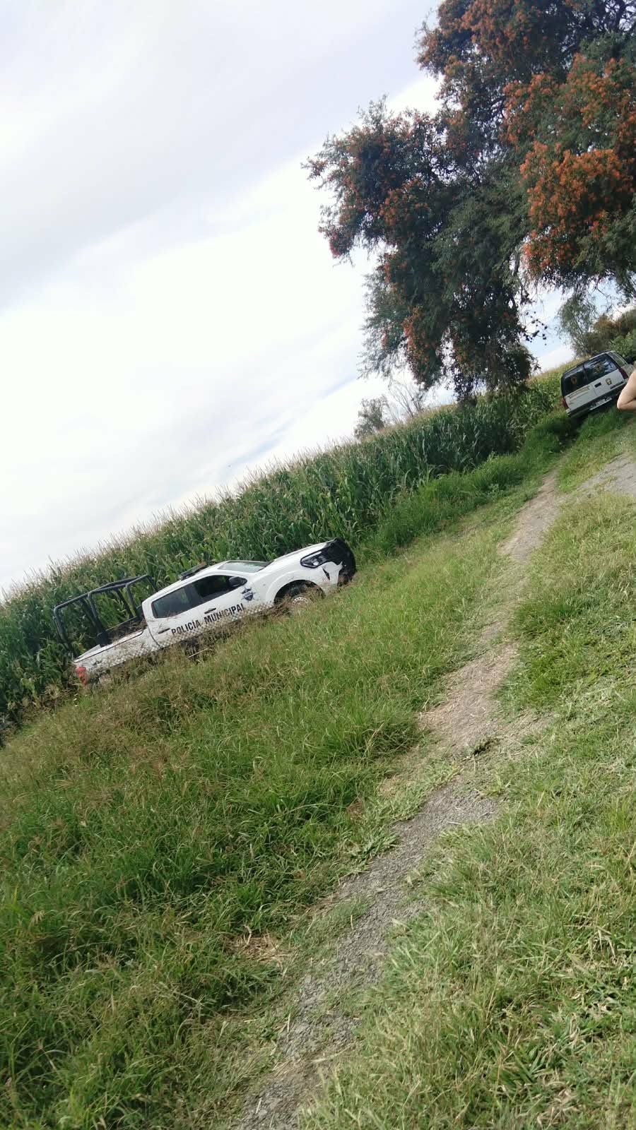 Jornada violenta en Michoacán: Homicidios y un enfrentamiento