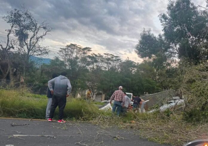 Vuelca tráiler en la Morelia-Pátzcuaro; hay un muerto Vuelca tráiler en la Morelia-Pátzcuaro; hay un muerto