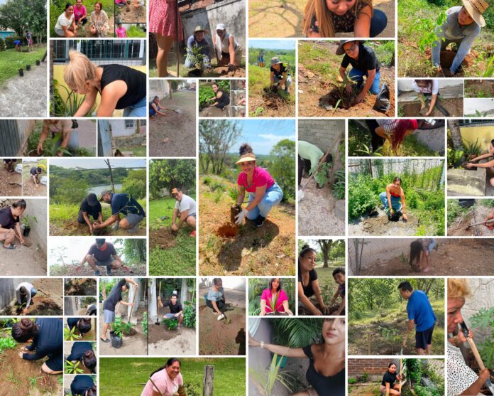 Lázaro Cárdenas destaca en la jornada “¡Todo México a reforestar!”