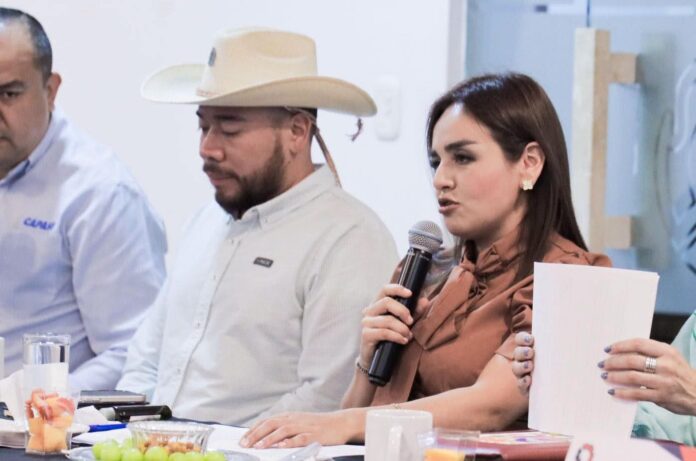 Grecia Quiroz fortalece diálogo con la iniciativa privada de Uruapan Grecia Quiroz fortalece diálogo con la iniciativa privada de Uruapan