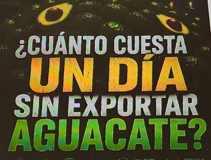 Suspensiones al aguacate provocan pérdidas millonarias en Michoacán