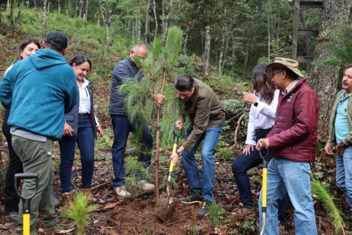En Segundo Año de Gobierno, consolidan liderazgo ambiental de Morelia