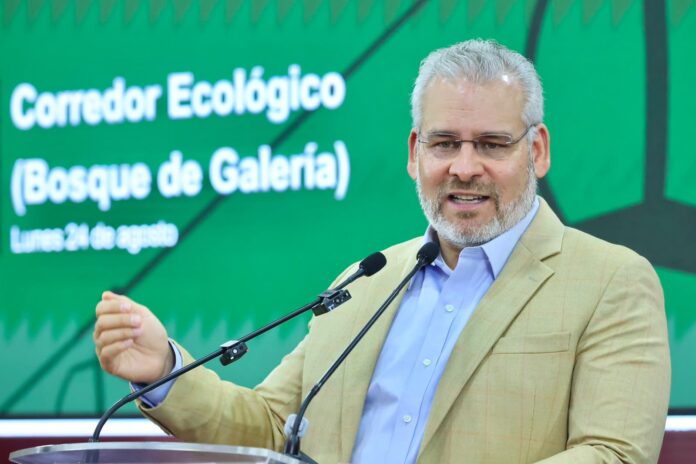 Arbolado de Tres Puentes, solo 27 serán trasplantados: Bedolla