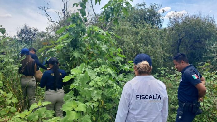 Vinculan a presunto de la desaparición de una mujer de 76 años
