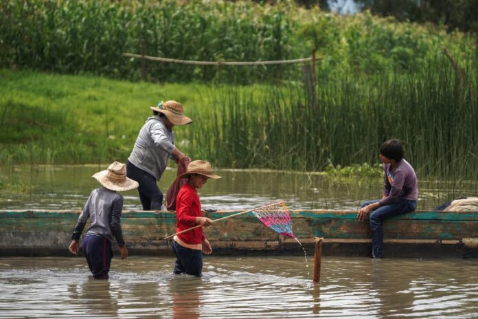 El lago de Pátzcuaro aun se vive desde una canoa