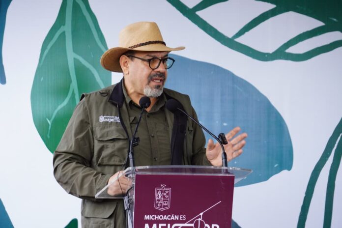 Ponen a disposición estudio de impacto ambiental del Morebús