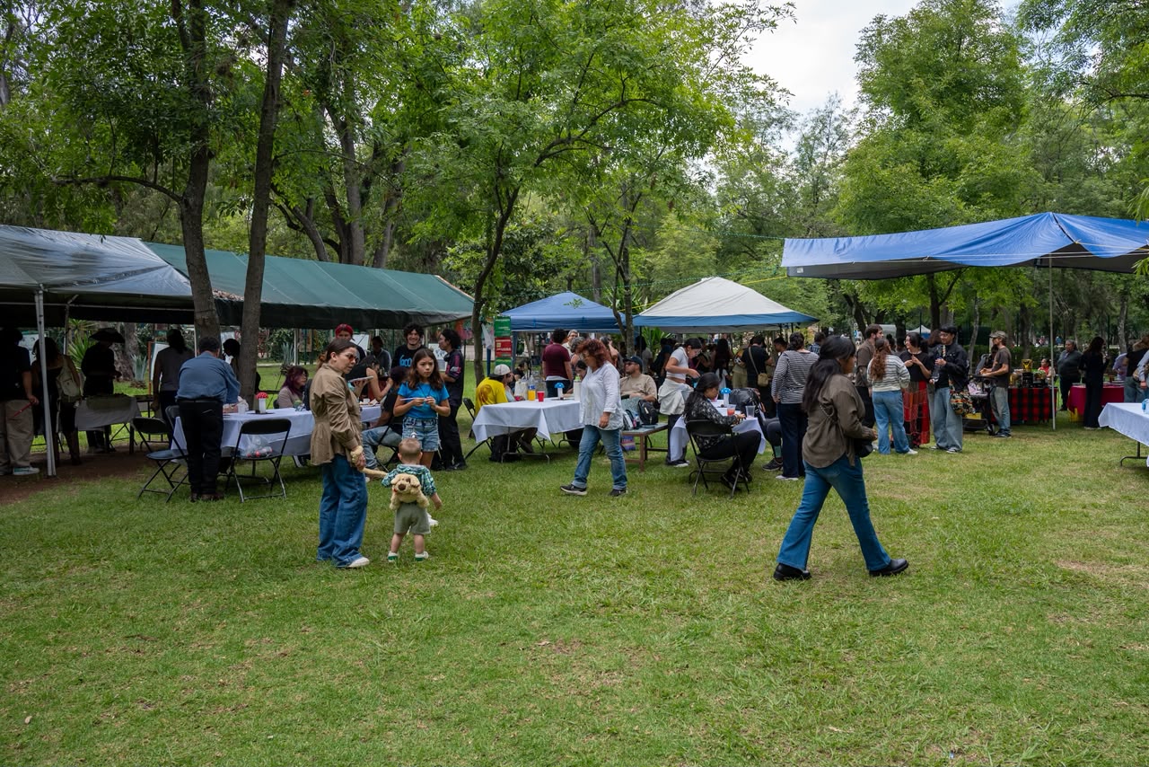 De los bosques a la mesa; hongos se transforman en nieve artesanal en Morelia