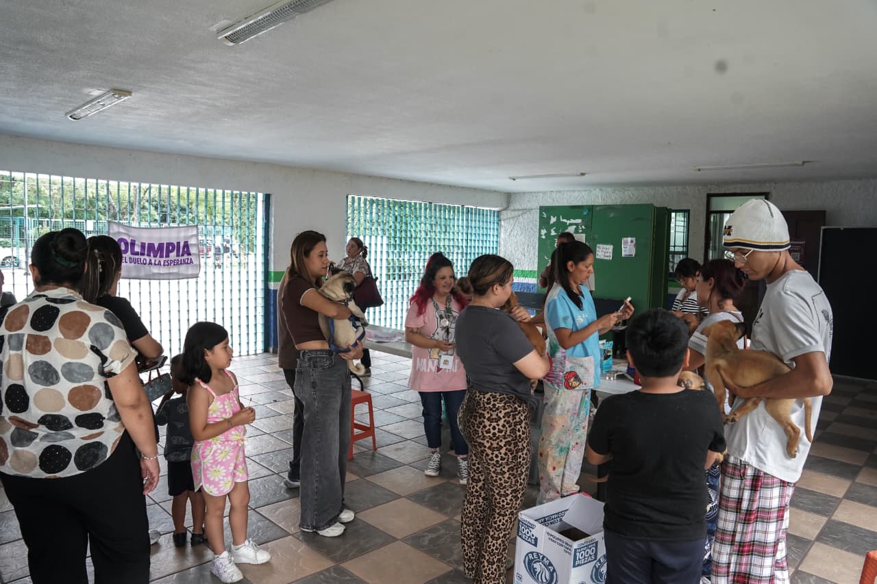 ¿Buscas un compañero de cuatro patas? Expo Adopción Michican espera en el IMCED