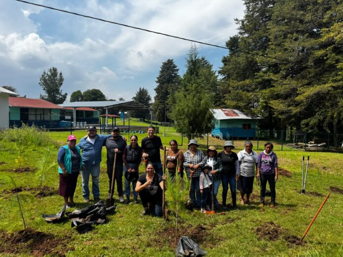 Alfonso Martínez acompaña a vecinas y vecinos de Atécuaro en jornada de reforestación