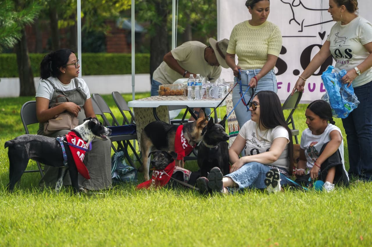 Adopción de perritos y picnic de pasteles: combinación en feria de Huellitas Unidas