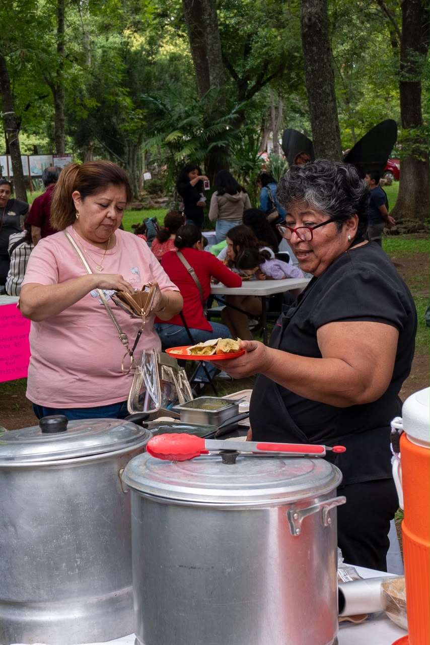 De los bosques a la mesa; hongos se transforman en nieve artesanal en Morelia
