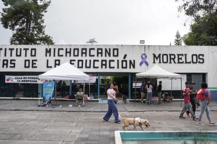 ¿Buscas un compañero de cuatro patas? Expo Adopción Michican espera en el IMCED