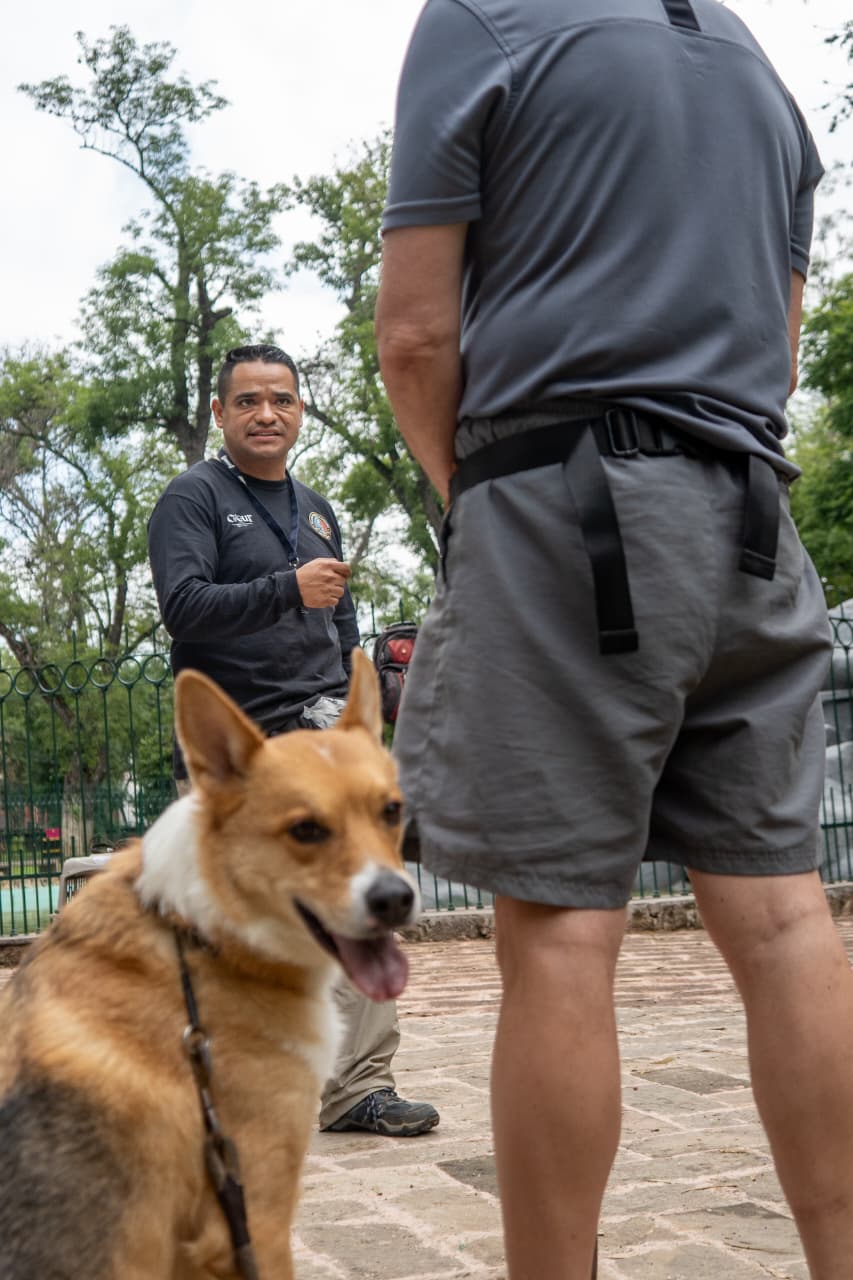Correas en mano y premios listos: el hombre que encontró terapia entre ladridos y patas