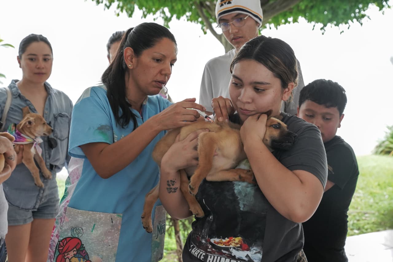 ¿Buscas un compañero de cuatro patas? Expo Adopción Michican espera en el IMCED