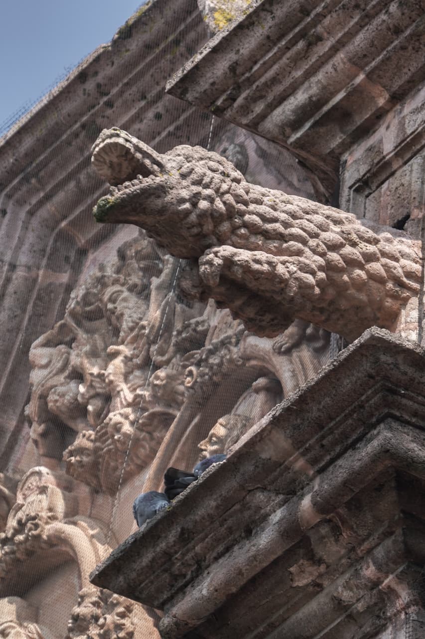 ¿Dragones o caimanes? Las gárgolas que vigilan Morelia desde las alturas
