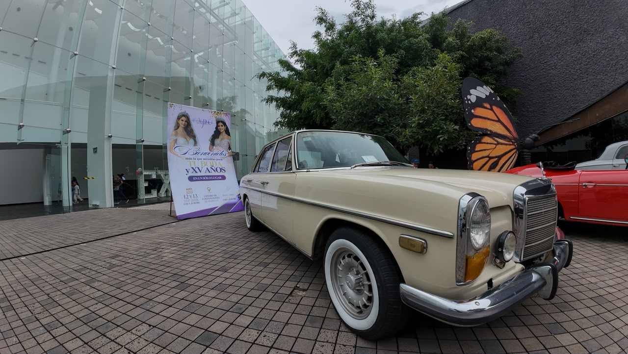 Entre vestidos y pasarelas, Ceconexpo reúne opciones para bodas y XV años
