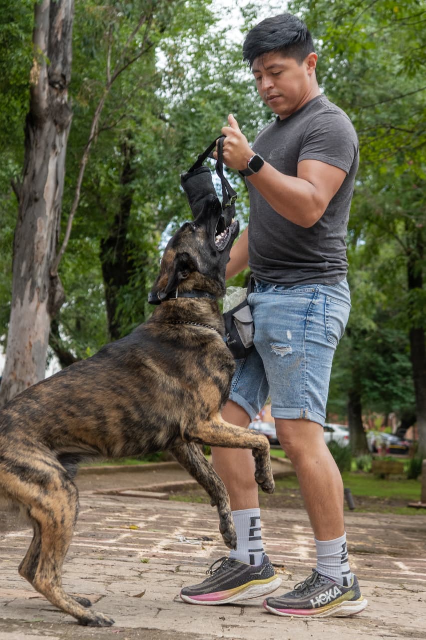 Correas en mano y premios listos: el hombre que encontró terapia entre ladridos y patas