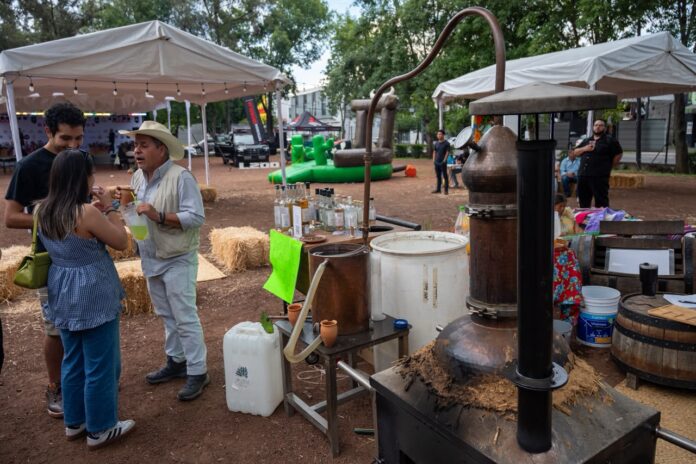 Mezcaliza transforma CECONEXPO en sabores, música y tradición michoacana
