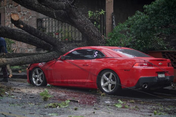 Tras fuerte fuerte lluvia, árbol cae sobre carro en Morelia