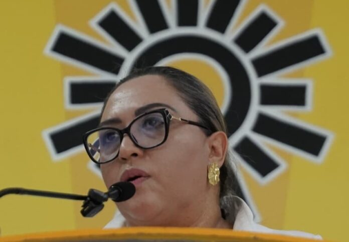 PRD Michoacán