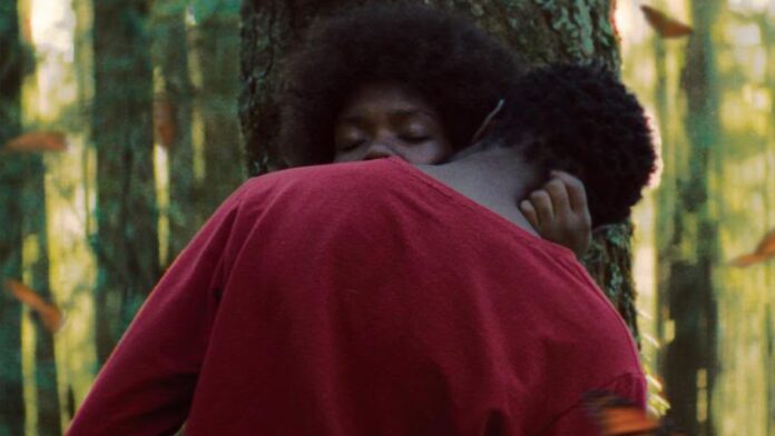 El jardín que soñamos: un bosque hermoso donde también habita la violencia