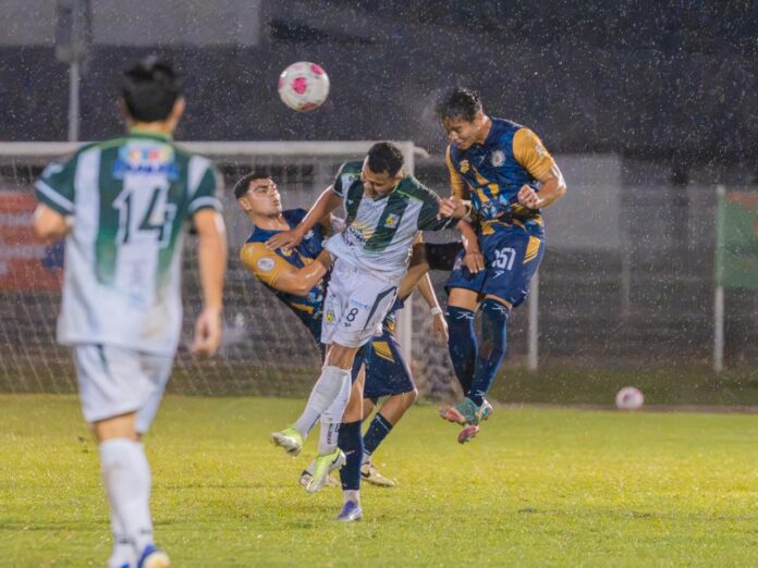 Los zorros de la UMSNH mantienen su paso perfecto