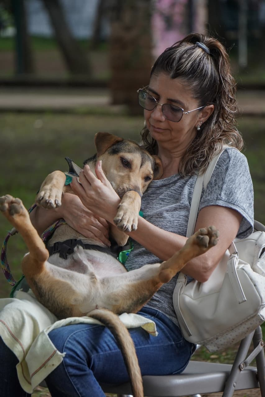 Feria de adopción busca hogares para perros rescatados en Morelia