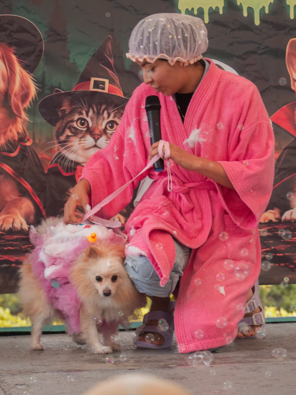 Perritos con disfraz y adopciones toman la plaza del Caballito en Morelia