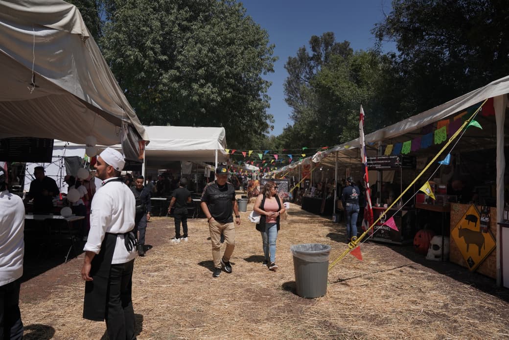 Carne de león, cocodrilo e insectos llegarán al Festival del Asado Morelia