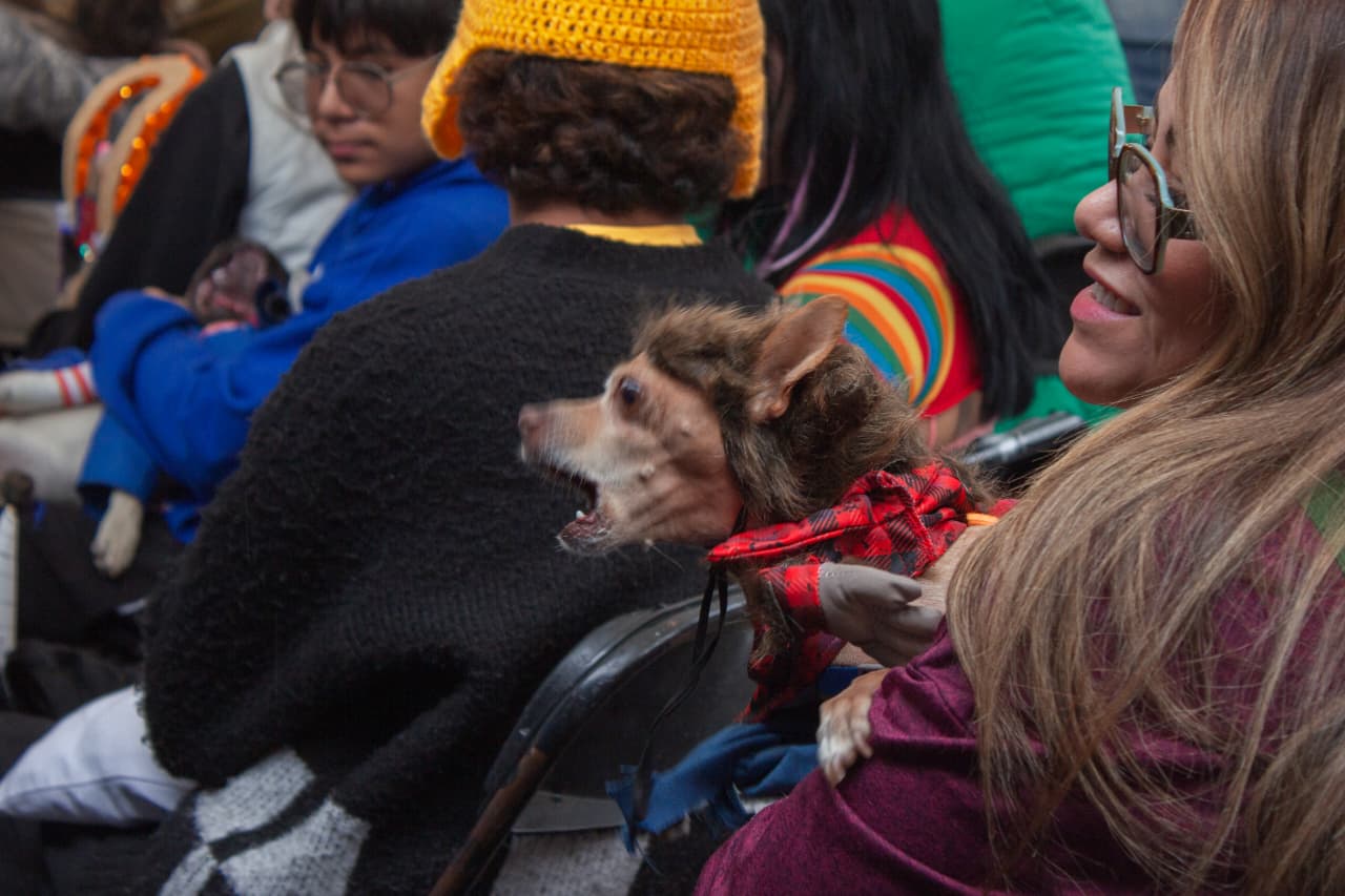 Perritos con disfraz y adopciones toman la plaza del Caballito en Morelia