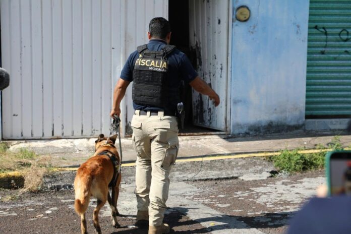 Michoacán, aseguran drogas en tres cateos en Morelia