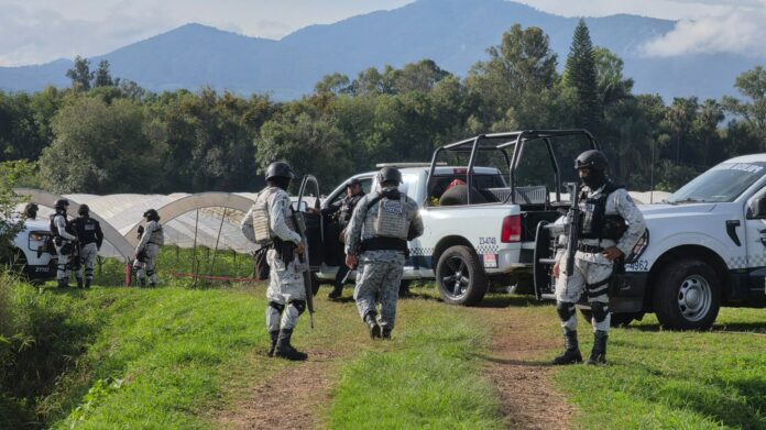 Michoacán, ejecución en baños pórtatiles