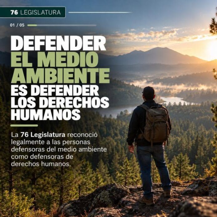 Michoacán, defender nuestros bosques